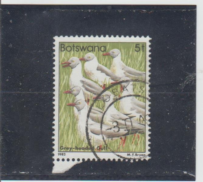 Botswana  Scott#  307  Used  (1982 Grey-Headed Gulls)