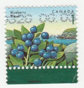 1349  Fruit Definitive