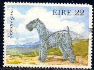 Dog, Kerry Blue Terrier, Ireland stamp SC#563 used