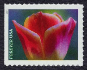 #5558-5567 Garden Beauty, Singles, Mint **ANY 5=FREE SHIPPING**