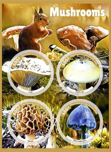 Stamps.  Mushrooms, animals  2018 1+1 sheets perforated