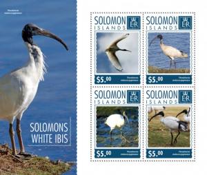 SOLOMON ISLANDS 2014 SHEET WHITE IBIS BIRDS slm14708a