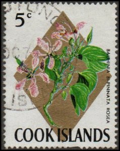 Cook Islands 206 - Used - 5c Bauhinia Bi-Pinnata Rosea (1967) +