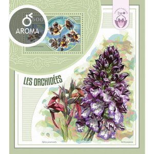 Flowers Orchids Stamps Niger 2014 MNH Vuylstekeara Orchid Flora Nature 1v S/S