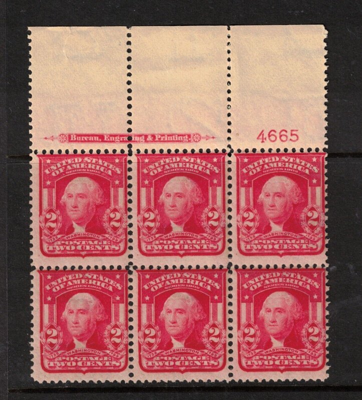 USA #319fi Mint Fine Lightly Hinged Plate Block Of Six Type II Plate 4665 