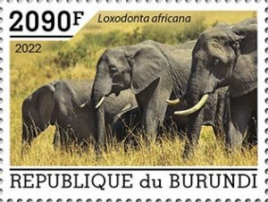 BURUNDI - 2022 - Elephants - Perf Single Stamp - Mint Never Hinged