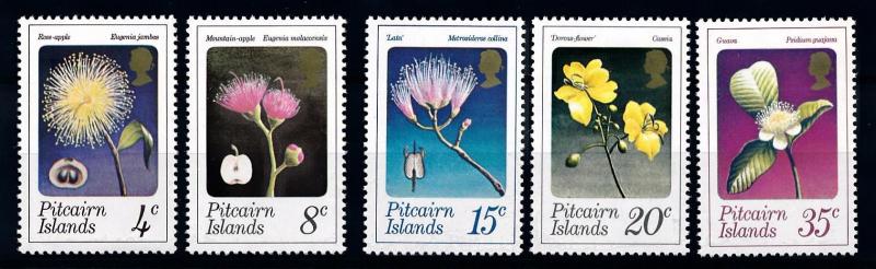 [62006] Pitcairn Islands 1973 Flora Flowers Blumen Fleur   MNH