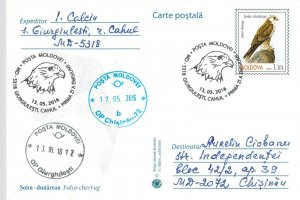 Moldova 2016 PSC birds of prey stamps with FD Cancel  Saker falcon 