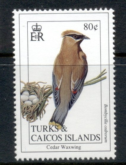 Turks & Caicos Is 1993 Birds 80c MUH