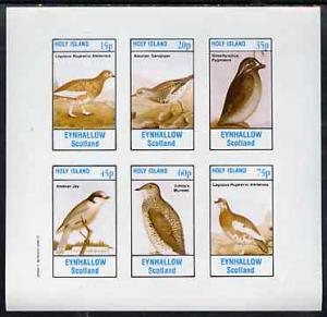 Eynhallow 1982 Birds #46 (Jay, Sandpiper, Auklet, etc) im...