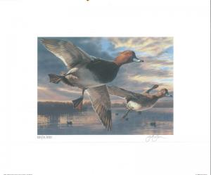 RW71 2004 FEDERAL DUCK STAMP PRINT REDHEAD by Scot Storm