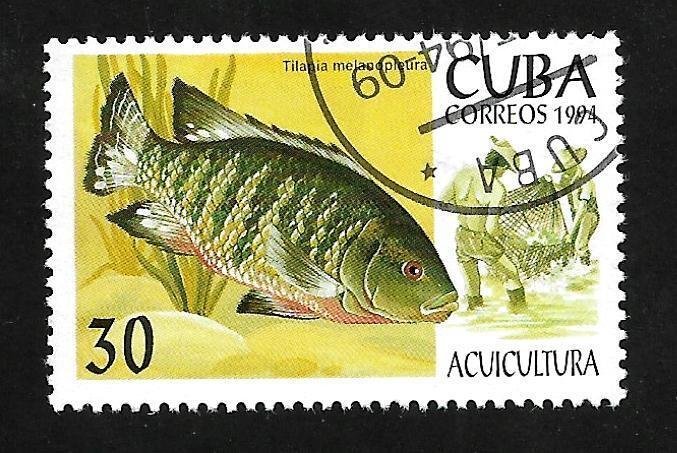 Cuba 1994 - CTO - Scott# 3573