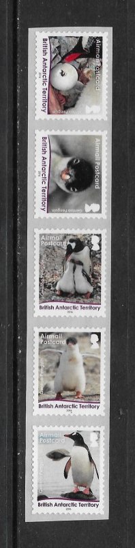 PENGUINS - BRITISH ANTARCTIC TERRITORY #C39-43   AIRMAIL STRIP  MNH