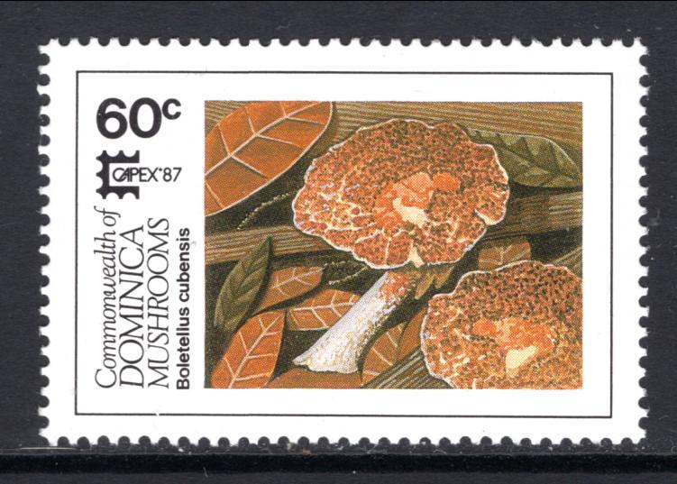 Dominica 1025 Mushrooms MNH VF