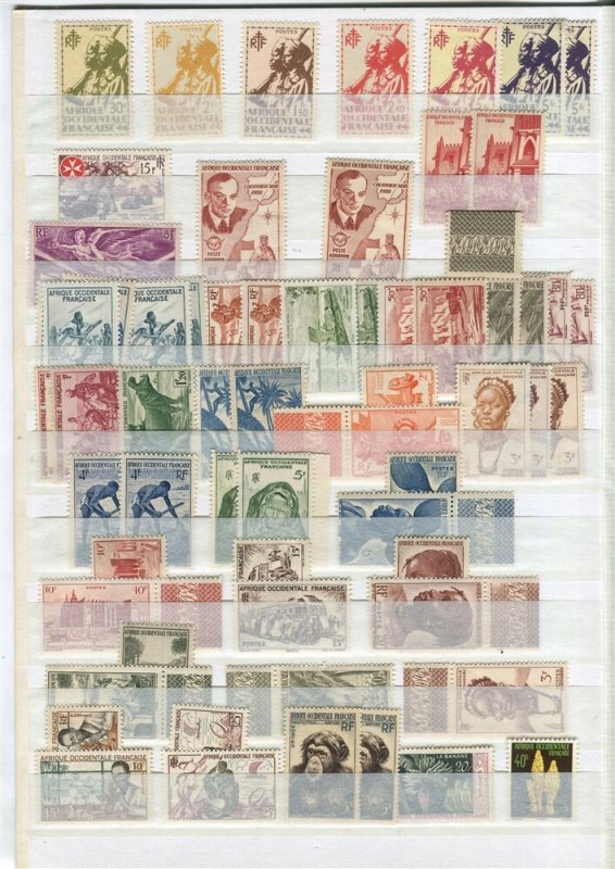 FRENCH COLONIES; 1920s-40s EQUITORIAL AFRICA very fine Mint LOT on stock pages