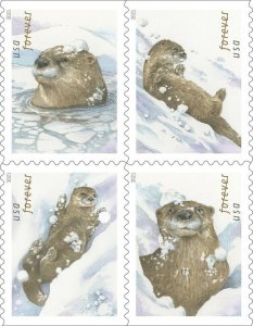 US 5648-5651 5651a Otters in Snow forever block (4 stamps) MNH 2021 Nov 15 