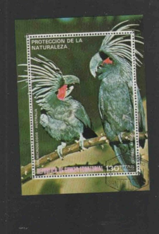 EQUATORIAL GUINEA 1972 PARROTS MINT VF NH O.G CTO S/S (EQ68a) 