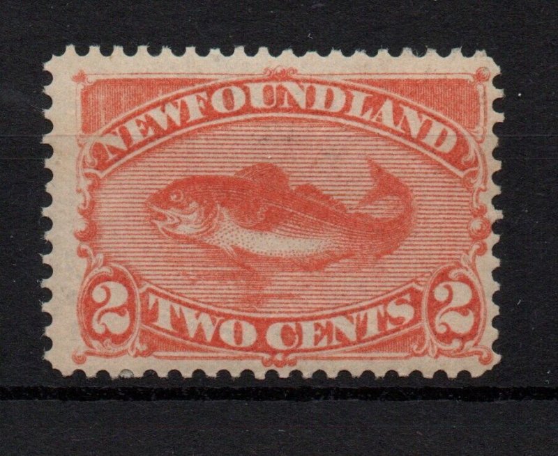 Newfoundland 1887 Cod fish SC#48 mint LHM WS34358
