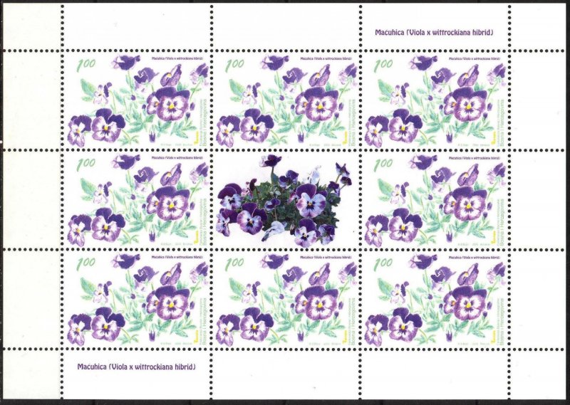 Bosnia 2009 Flora Flowers Pansy Sheet of 8 MNH