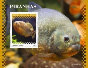 Sierra Leone - 2019 Red-bellied Piranha Fish - Stamp Souvenir Sheet - SRL190916b