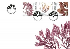 Denmark 2024 Europa CEPT Undewater flora and fauna set of 3 stamps FDC