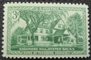 US #1023 MNH Single SCV $.20 L8