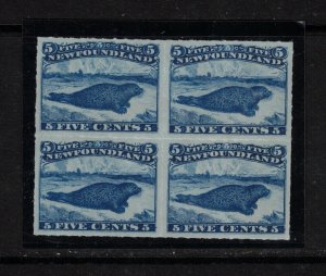 Newfoundland #40 Extra Fine Mint Gem Block Left Stamps Never Hinged Right VLH