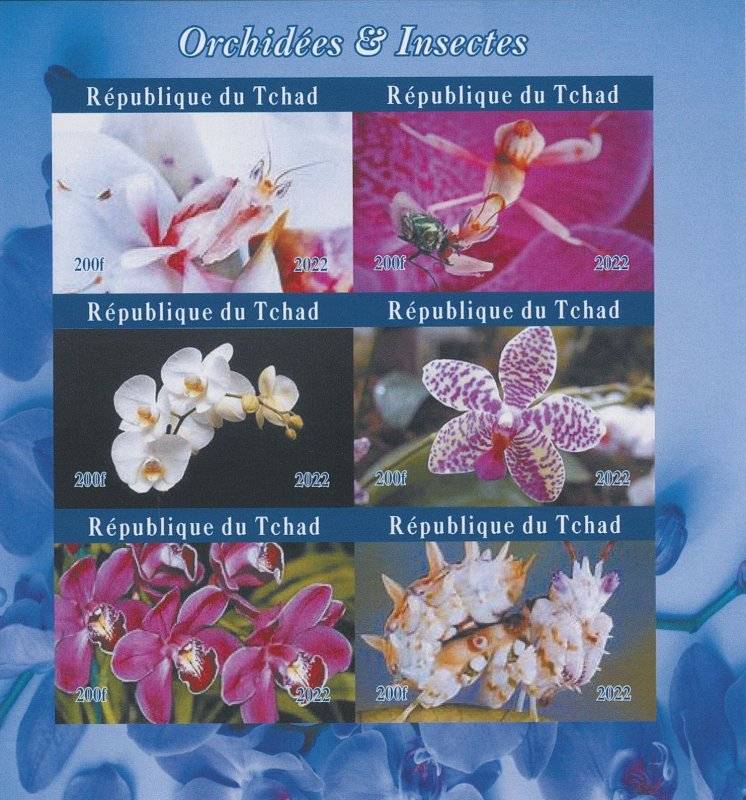 Chad 2022 MNH Flowers Stamps Orchids & Insects Orchid Flora 6v IMPF M/S II 