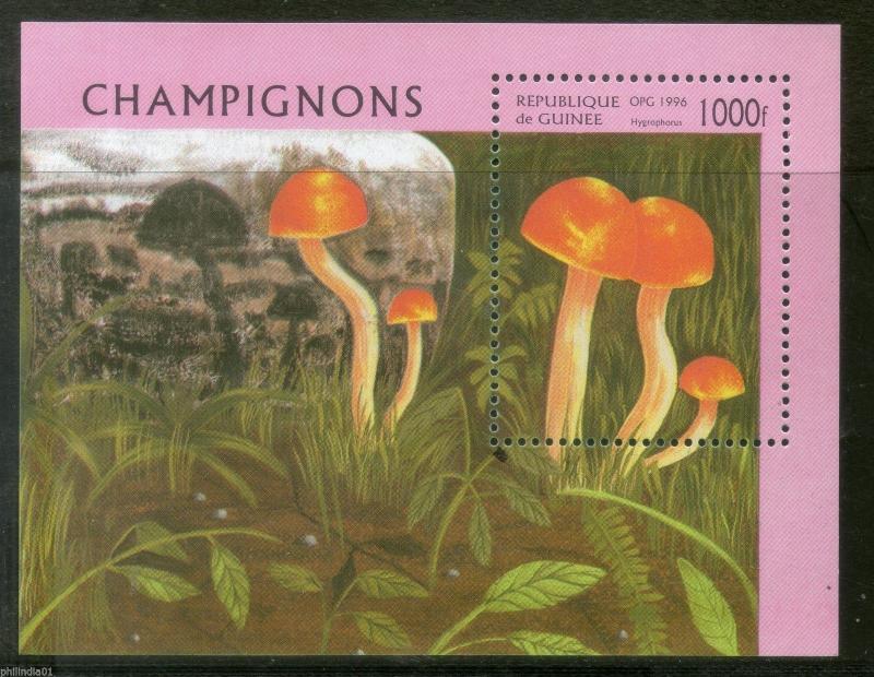 Guinea 1996 Mushroom Fungi Plant Flora Sc 1326 M/s MNH # 1904