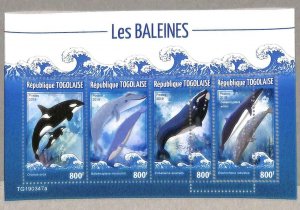 A3539-Togo ERROR MISSPERF 2019 Nature whales SEA LIFE Marine Animals