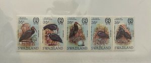 Souvenir Sheet Swaziland Scott #448 nh