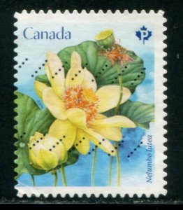 3091 Canada P Lotus Flowers SA, used