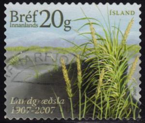 Iceland - 2007 - Scott #1115 - used - Soil Conservation