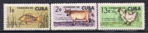 CUBA 1964 - Fish - A Cow - Chickens - MNH Set