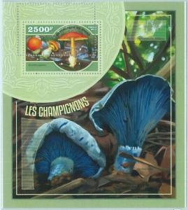 1558 - NIGER, ERROR, 2014 MISSPERF SHEET: Mushrooms, Nature