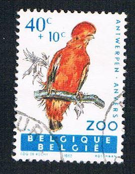 Belgium B712 Used Bird (BP1866)