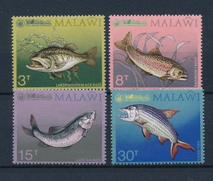 [39192] Malawi 1974 Marine life fish trout salmon  MLH