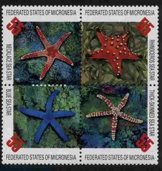 Micronesia 240 MNH Starfish