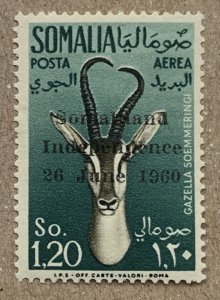 Somalia 1960 Independence on 1.20s Gazelle, MNH.  SEE NOTE. Scott C69, CV $29.00