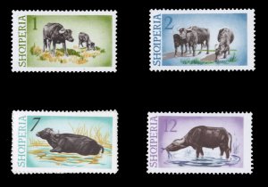 Albania #796-800 Cat$18.75, 1965 Water Buffalo, set of four, never hinged