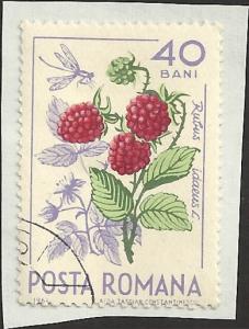 ROMANIA UNIDENTIFIED BOX ITEM