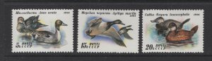 Russia #6009-11 (1991 Ducks set) VFMNH CV 1.05