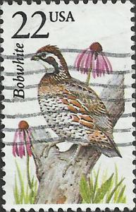 # 2301 USED BOBWHITE