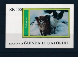 D454321 Guinea Ecuatorial S/S MNH Chihuahua Imperforate