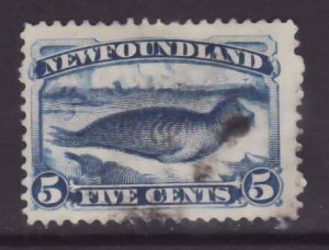 Newfoundland-Sc#55- id21-used 5c bright blue Seal-1894-