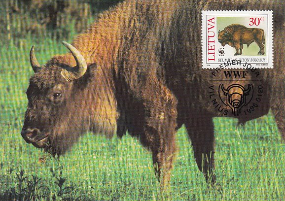 Lithuania 1996 Maxicard Sc #529 30c European bison WWF