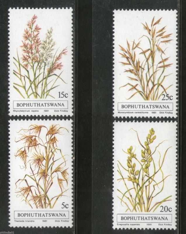 Bophuthatswana 1981 Grasses Flower Trees Plants Flora Sc 80-83 MNH # 3252