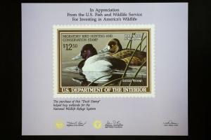 US Federal Duck Stamp Collection