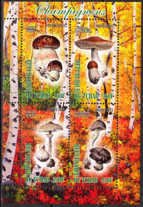 Chad 2013 Mushrooms (2) MNH Cinderella !