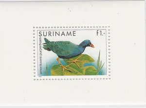 Suriname # 725a, Birds, small Souvenir Sheet, Mint NH, 1/2 Cat.